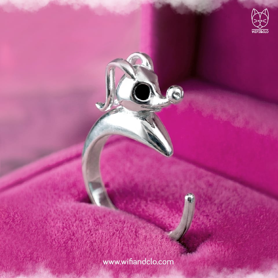 Zero Ring