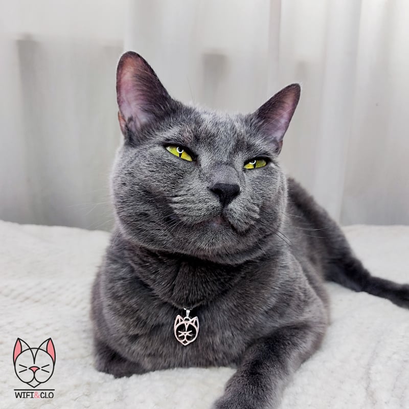 Wifi&Clo Cat Necklace